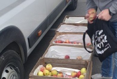 Ovocná streda v Aliplaste