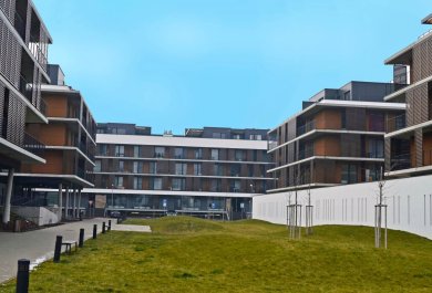 Slnecnice2 Bratislava TATRASPOLJ