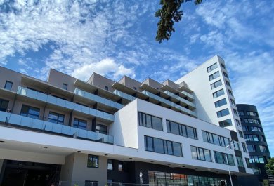 3. BCK III - Koszyce obcięte na www